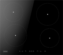 Induktionsfeld Reparatur Dresden